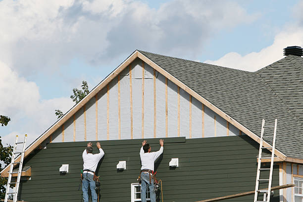Professional Storm Damage Siding Repair technician working in Apollo Beach, FL